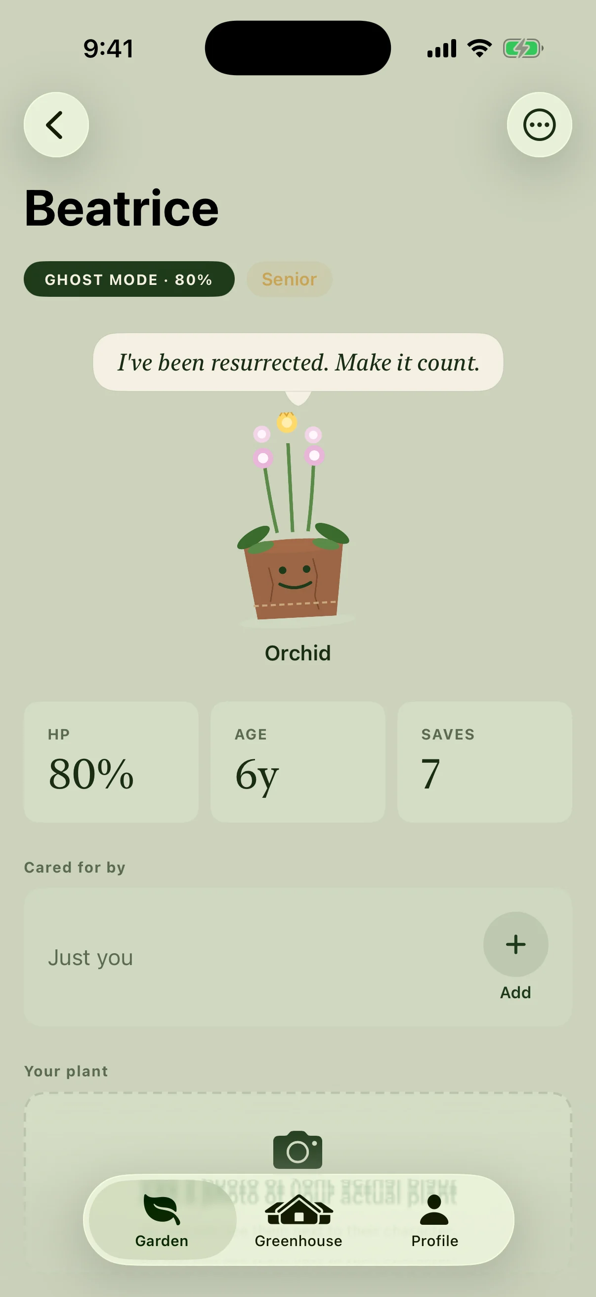 Herbie plant profile for an orchid named Beatrice